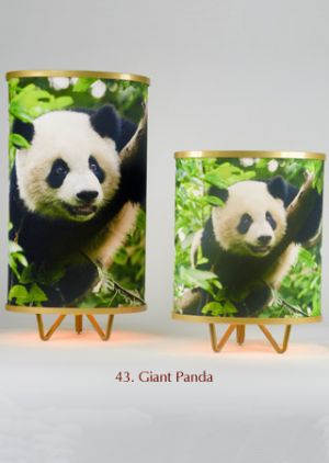 43. Gian Panda